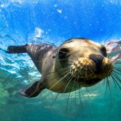 Exploring the Natural Paradise of Galapagos, Ecuador