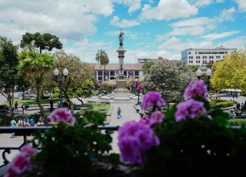 CITY TOUR | FROM $105