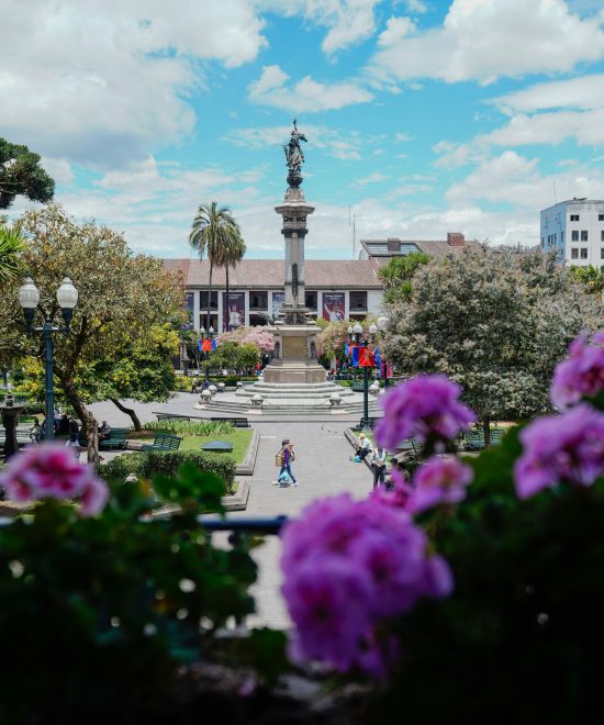 CITY TOUR | FROM $79