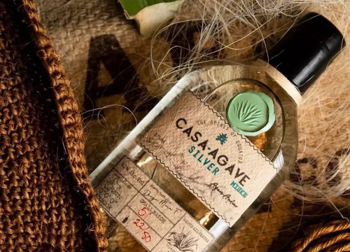 AGAVE HOUSE + MIDDLE OF THE WORLD (HALF DAY) I FROM $123