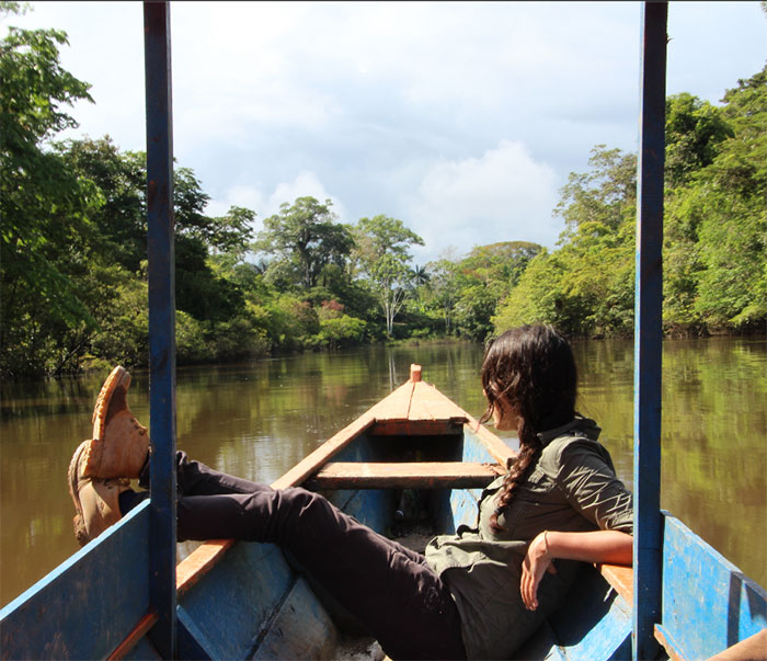 Amazon Jungle