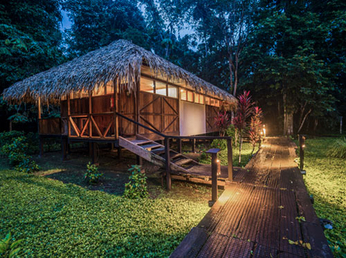 Galapagos and Amazon