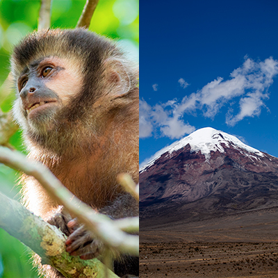 Andes and Amazon Jungle