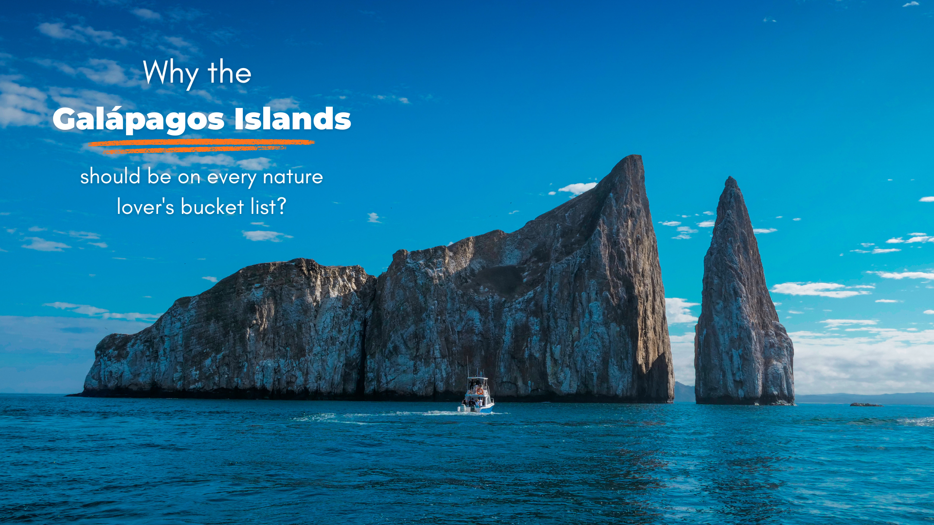Why the Galápagos Islands Should Be on Every Nature Lover's Bucket List